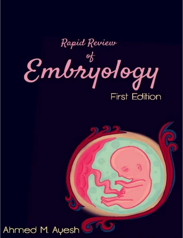 Rapid Review Embrylogy